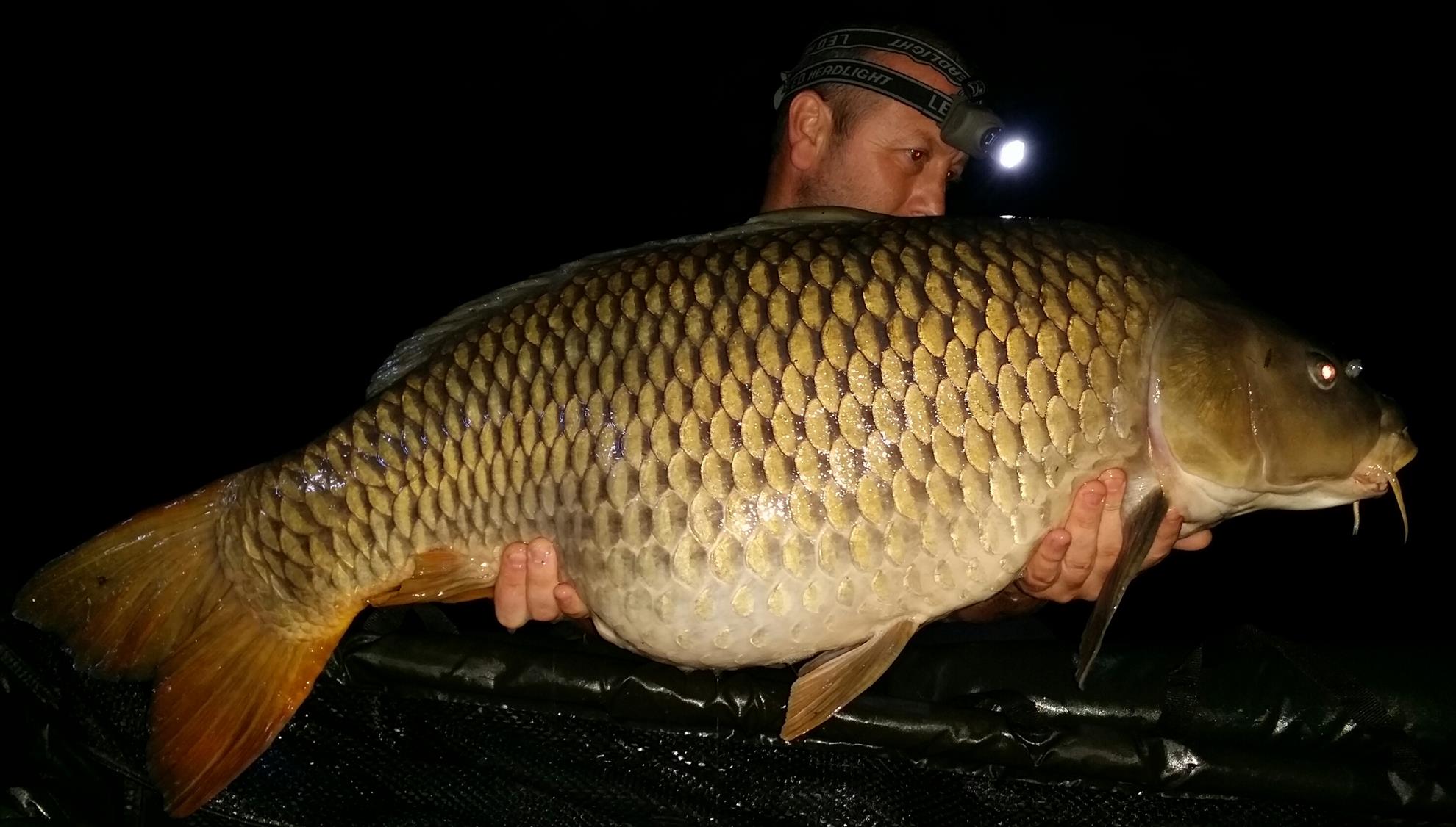 Lago Boschetto 17 - 18 mai 2016 - 20160518000746-1.jpg